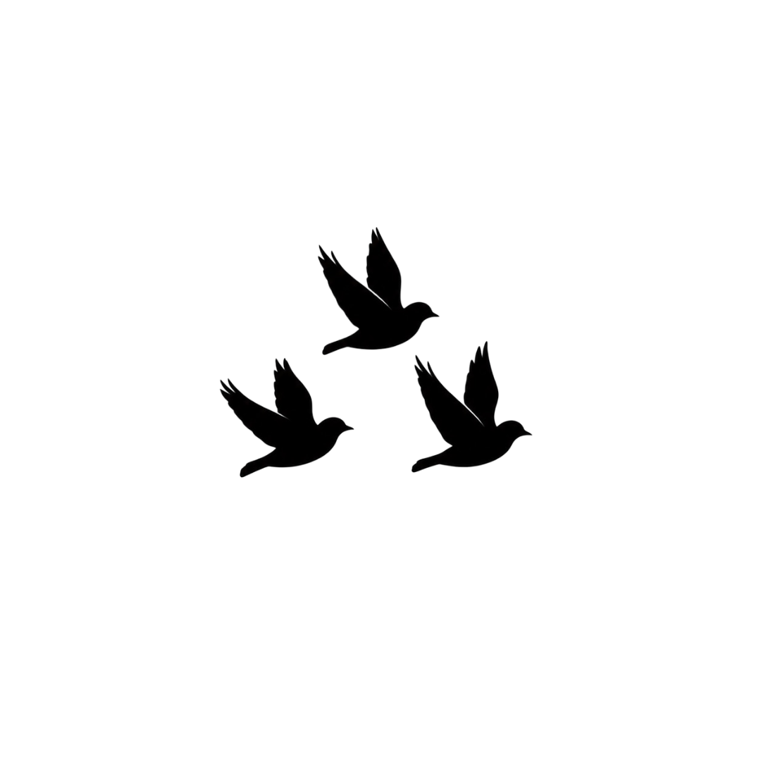 Covy logo